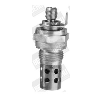 żeraviaca sviečka BorgWarner (BERU) GF186