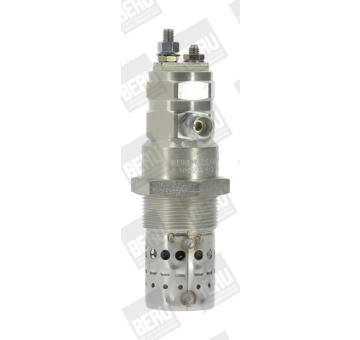 Zhavici svicka BorgWarner (BERU) GF817