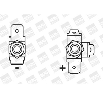 Zapalovací cívka BorgWarner (BERU) ZS123