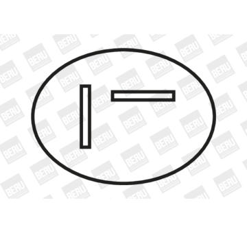 Zapalovací cívka BorgWarner (BERU) ZS282