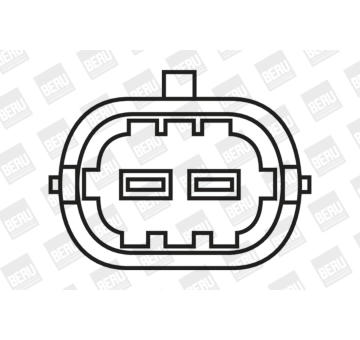 Zapalovací cívka BorgWarner (BERU) ZS309