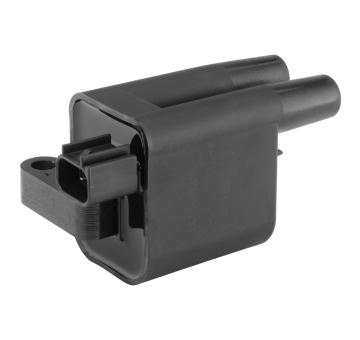 Zapalovací cívka BorgWarner (BERU) ZS580