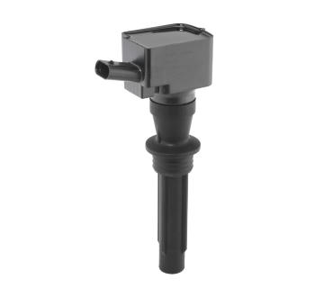 Zapalovací cívka BorgWarner (BERU) ZS624