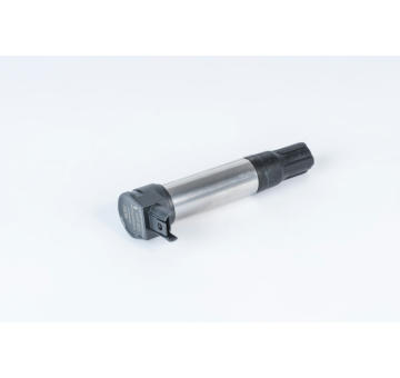Zapalovací cívka BorgWarner (BERU) ZSE255