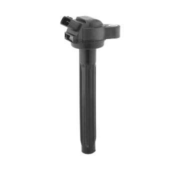 Zapalovací cívka BorgWarner (BERU) ZSE261