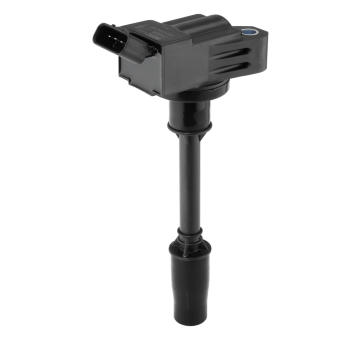 Zapalovací cívka BorgWarner (BERU) ZSE298