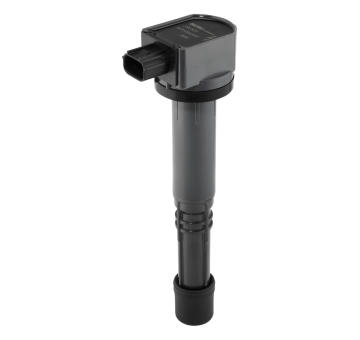Zapalovací cívka BorgWarner (BERU) ZSE303