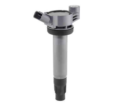 Zapalovací cívka BorgWarner (BERU) ZSE309