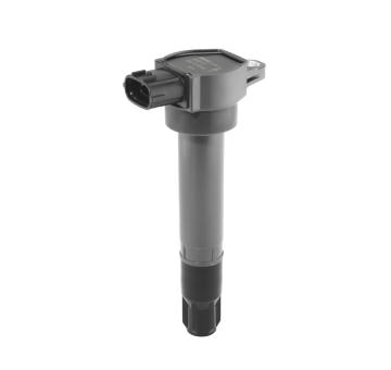 Zapalovací cívka BorgWarner (BERU) ZSE315