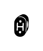 Gumový popruh, výfukový systém WALKER 81276