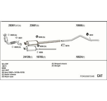 Výfukový systém WALKER FOK029972AB