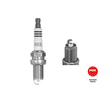 Zapaľovacia sviečka NGK 1219