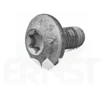 żroub s plochou hlavou ERNST 489560