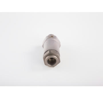 Ventil omezení tlaku, Common-Rail-Systém BOSCH 1 110 010 035