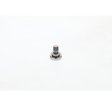 Šroub BOSCH 1 423 462 020