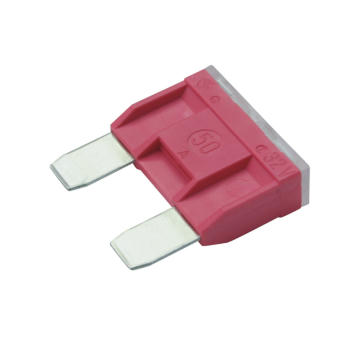 Poistka BOSCH 1 987 529 021