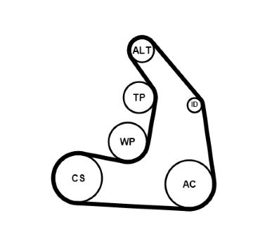 Sada žebrovaných klínových řemenů CONTINENTAL CTAM 5PK1255K1