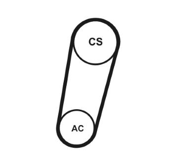 Sada žebrovaných klínových řemenů CONTINENTAL CTAM 5PK705 ELAST T1