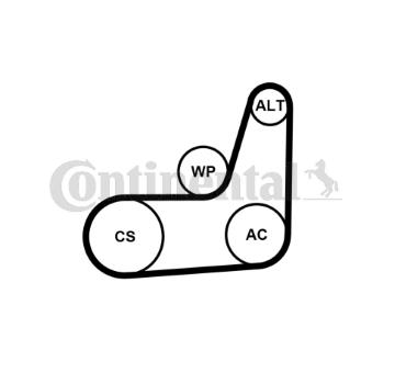Sada žebrovaných klínových řemenů CONTINENTAL CTAM 6PK1019 ELAST T2