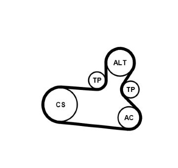 Sada žebrovaných klínových řemenů CONTINENTAL CTAM 6PK1139 EXTRA K1