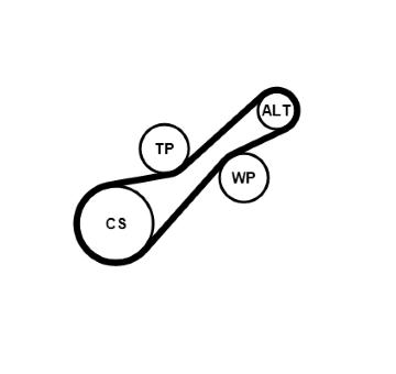 Sada žebrovaných klínových řemenů CONTINENTAL CTAM 6PK900K1