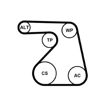 Sada žebrovaných klínových řemenů CONTINENTAL CTAM 6PK1217K2