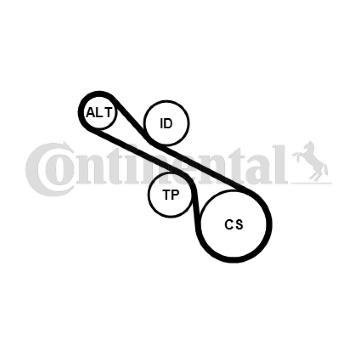 Sada žebrovaných klínových řemenů CONTINENTAL CTAM 6PK1230K1