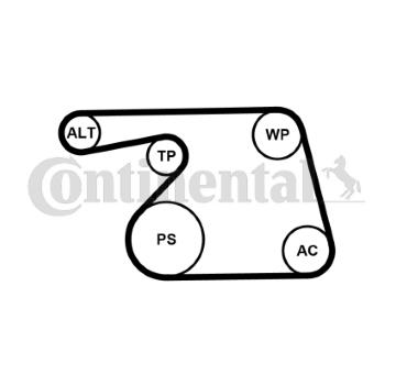 Sada žebrovaných klínových řemenů CONTINENTAL CTAM 6PK1318K2