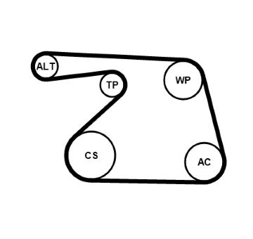 Sada žebrovaných klínových řemenů CONTINENTAL CTAM 6PK1325K1
