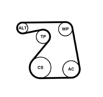 Sada žebrovaných klínových řemenů CONTINENTAL CTAM 6PK1360K1