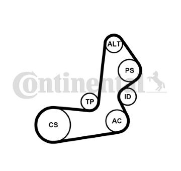 Sada žebrovaných klínových řemenů CONTINENTAL CTAM 6PK1515K1