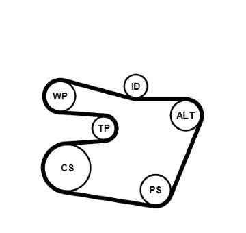 Sada žebrovaných klínových řemenů CONTINENTAL CTAM 6PK1538K1