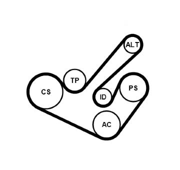 Sada žebrovaných klínových řemenů CONTINENTAL CTAM 6PK1555K9