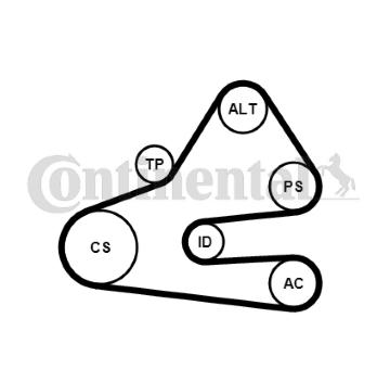 Sada žebrovaných klínových řemenů CONTINENTAL CTAM 6PK1613K1