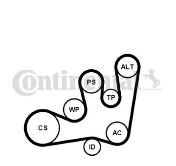 Sada žebrovaných klínových řemenů CONTINENTAL CTAM 6PK1642K1