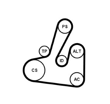 Sada žebrovaných klínových řemenů CONTINENTAL CTAM 6PK1705K2