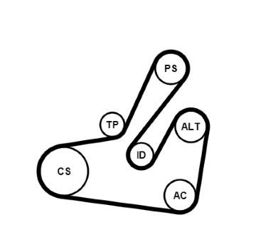Sada žebrovaných klínových řemenů CONTINENTAL CTAM 6PK1795K2