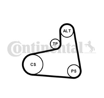 Sada zebrovanych klinovych remenu CONTINENTAL CTAM 6PK906K3