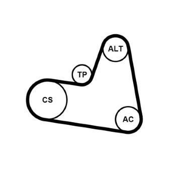 Sada žebrovaných klínových řemenů CONTINENTAL CTAM 6PK962K1