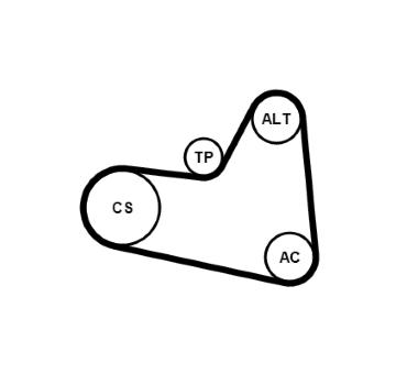 Sada žebrovaných klínových řemenů CONTINENTAL CTAM 6PK976K1