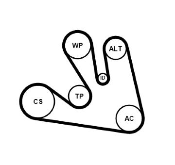Sada žebrovaných klínových řemenů CONTINENTAL CTAM 7PK1675K1