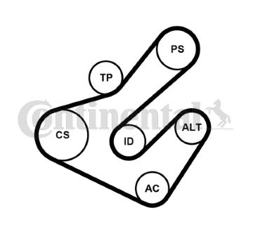 Sada zebrovanych klinovych remenu CONTINENTAL CTAM 7PK1795K2