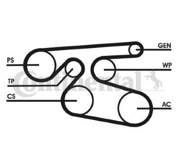 ozubený klínový řemen CONTINENTAL CTAM 7PK2000