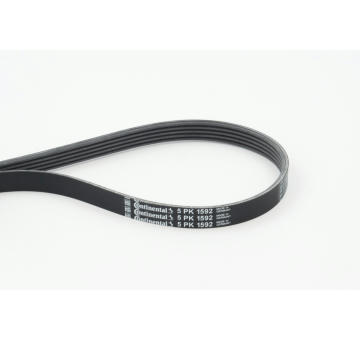 Ozubený klinový remeň CONTINENTAL CTAM 5PK1592
