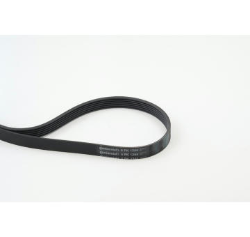 ozubený klínový řemen CONTINENTAL CTAM 6PK1244