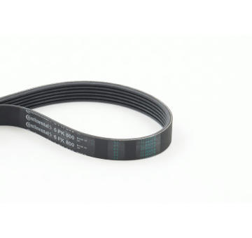 ozubený klínový řemen CONTINENTAL CTAM 6PK800