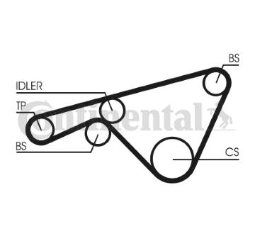 ozubený řemen CONTINENTAL CTAM CT925