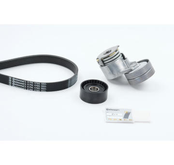 Sada žebrovaných klínových řemenů CONTINENTAL CTAM 6PK1795K2