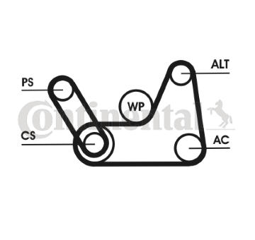 Sada zebrovanych klinovych remenu CONTINENTAL CTAM 6PK1019 ELAST T1