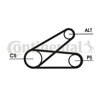 Sada zebrovanych klinovych remenu CONTINENTAL CTAM 6PK873 ELAST T1